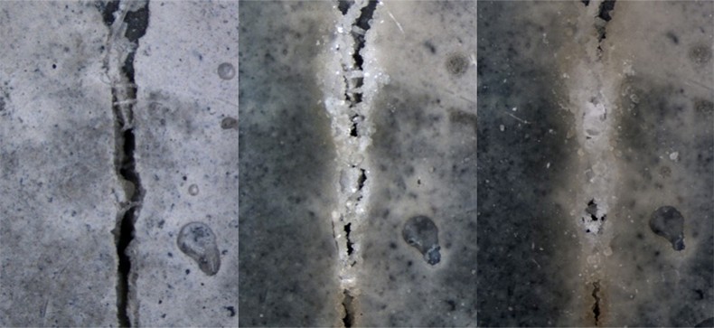 self-healing concrete